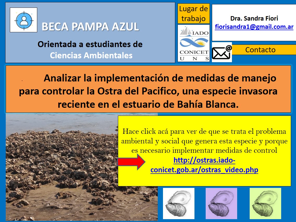Beca Pampa Azul