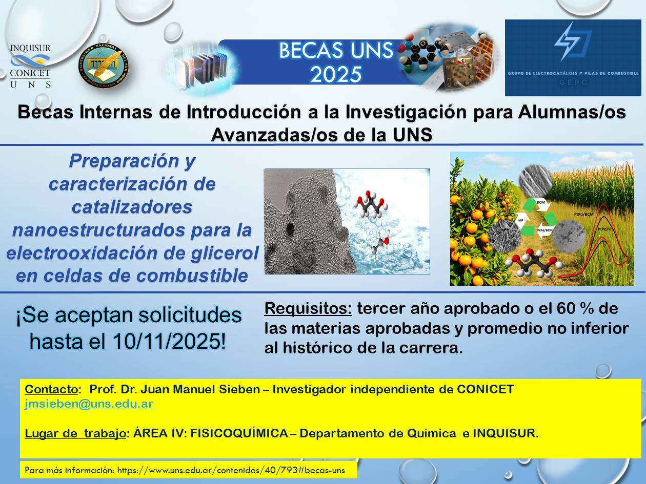 Becas Internas de Introducción a la Investigacion para Alumnos Avanzados de la U.N.S.