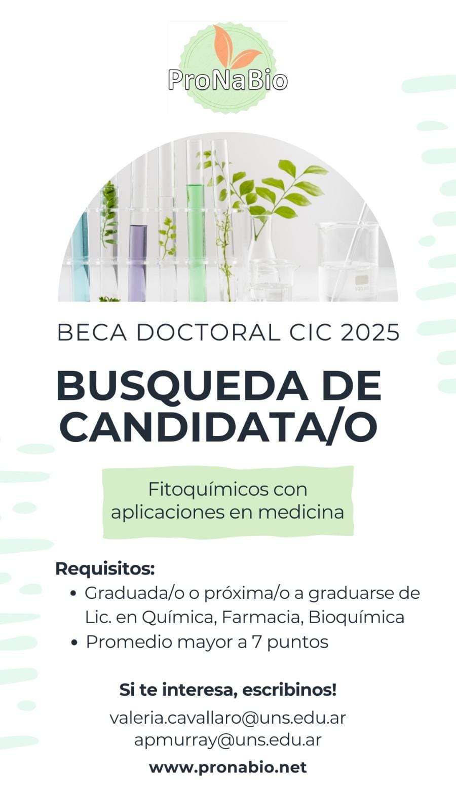 Busqueda Candidato Beca CIC 2025
