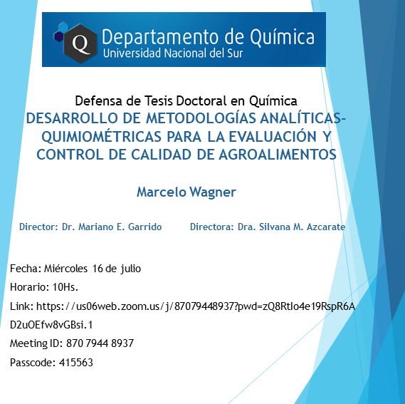 Tesis Wagner Marcelo