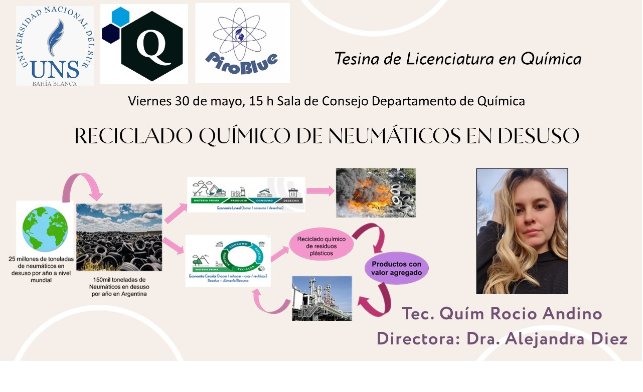 Tesina Lic en Qca - Andino Rocio